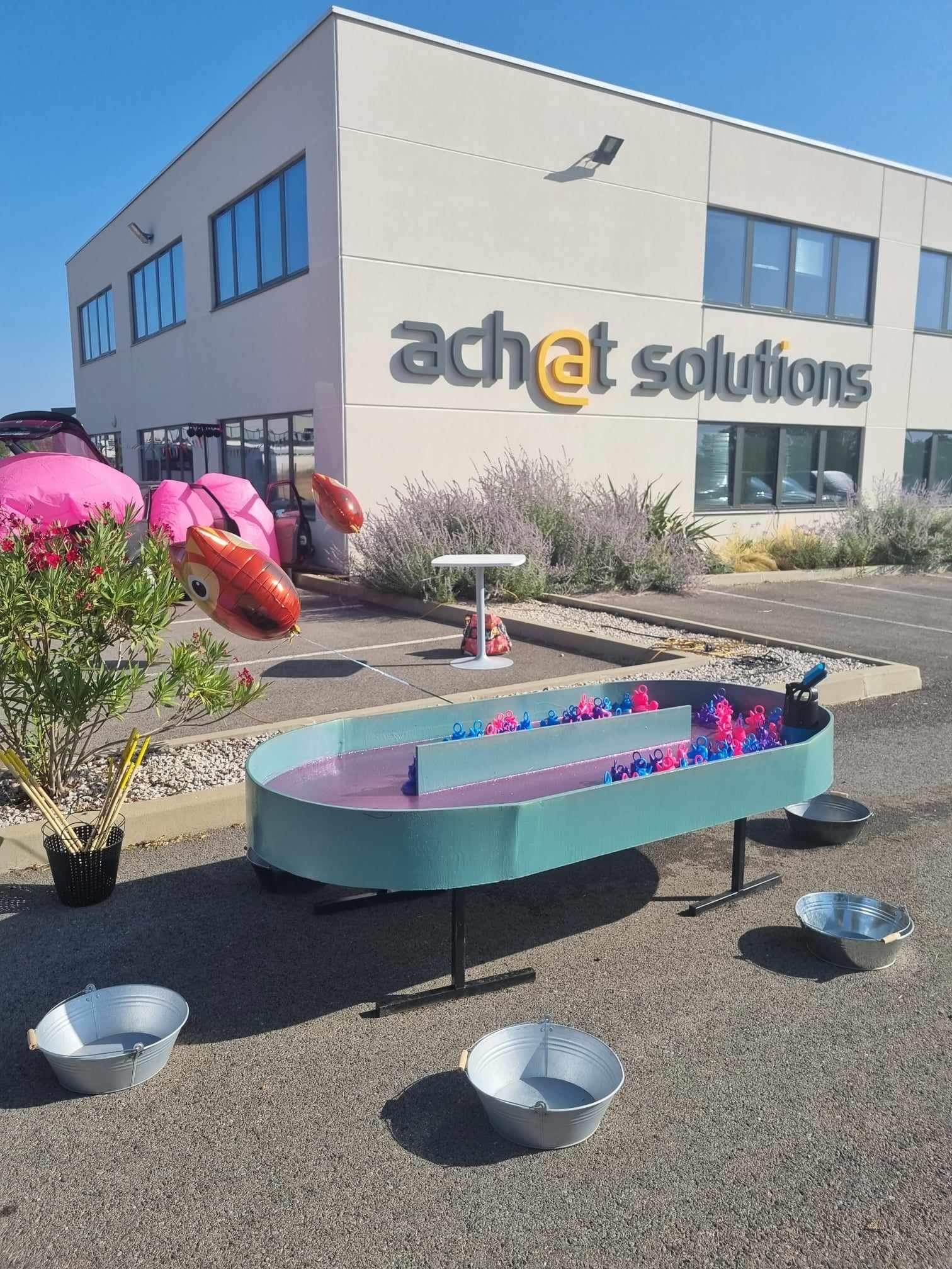 Pêche aux canards – Image 4