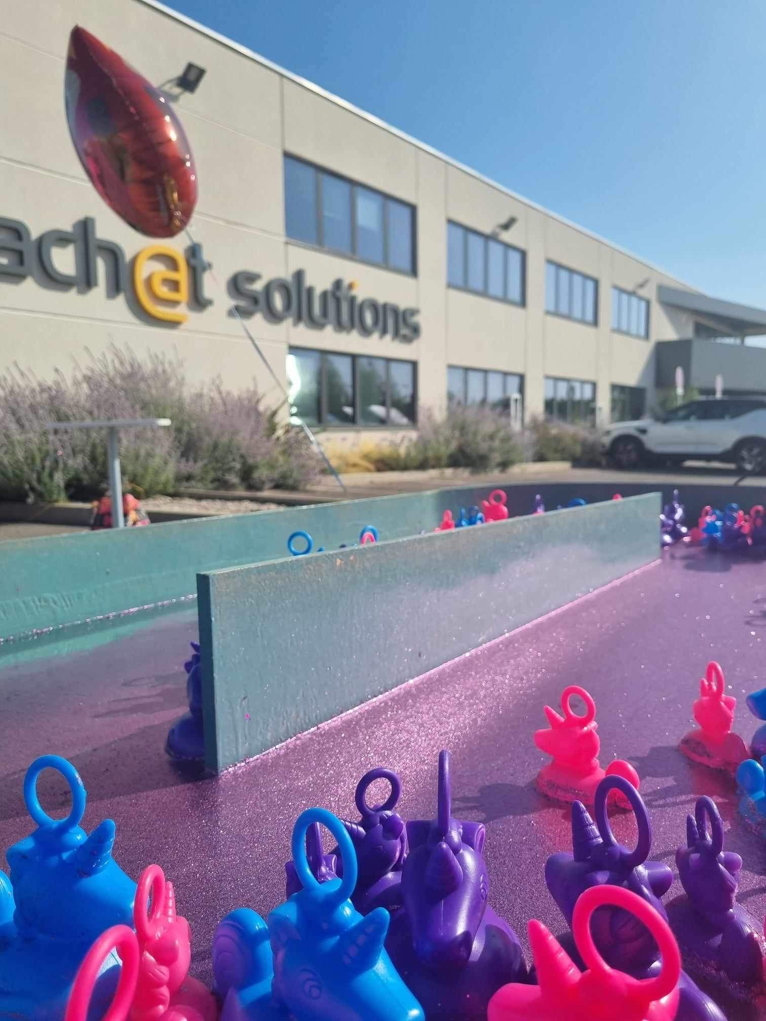 Pêche aux canards – Image 5