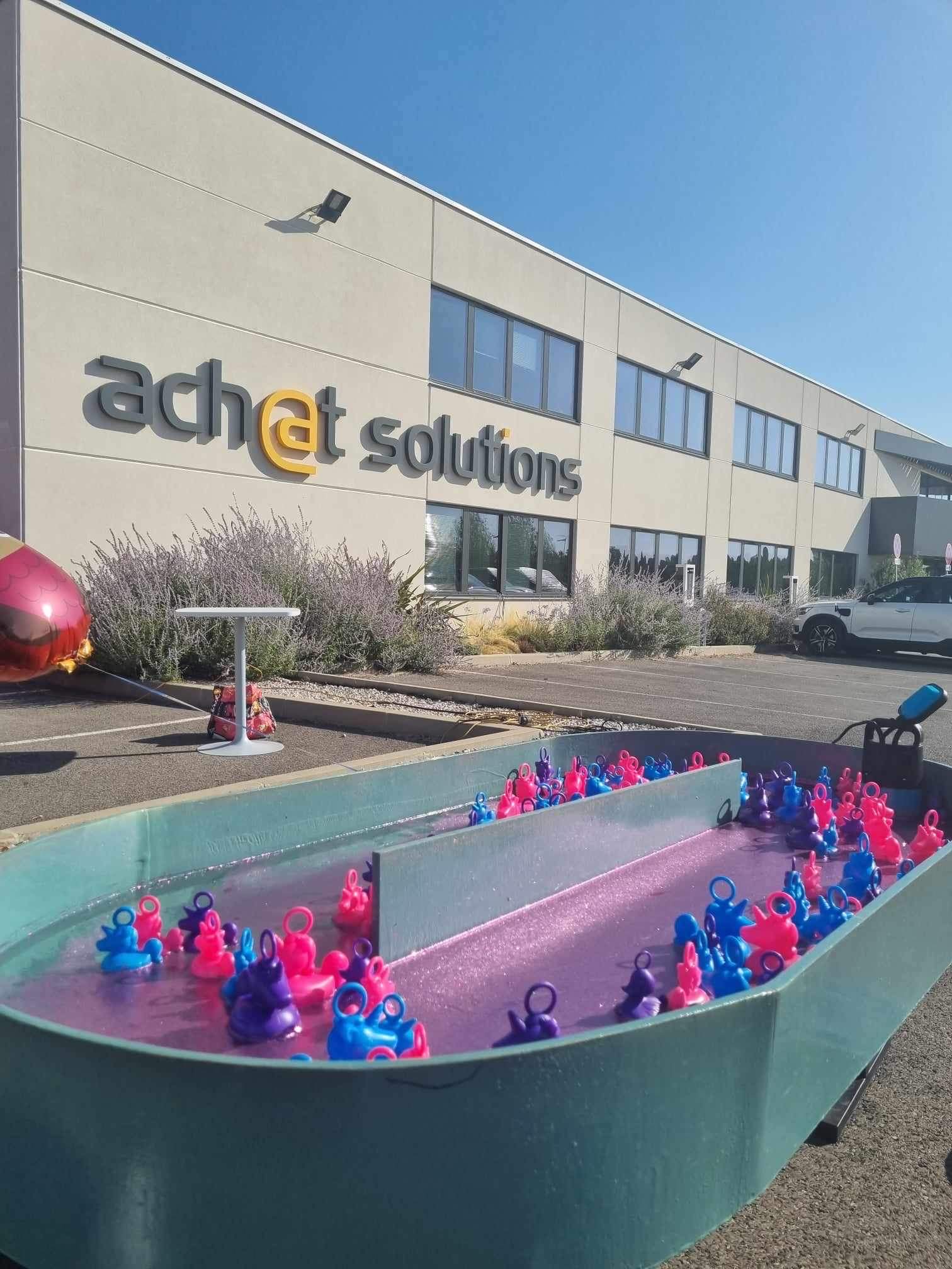 Pêche aux canards – Image 3