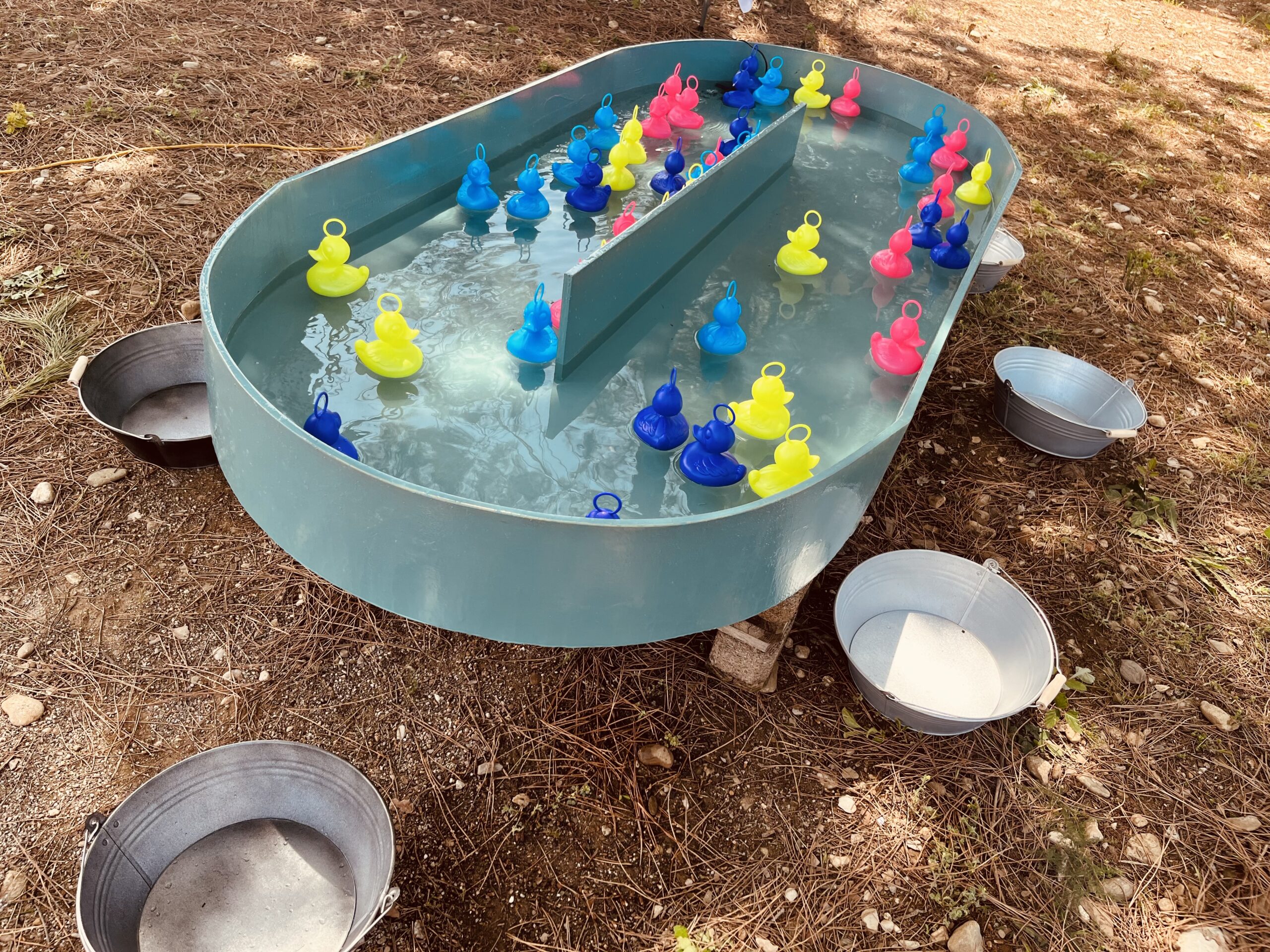 Pêche aux canards – Image 7